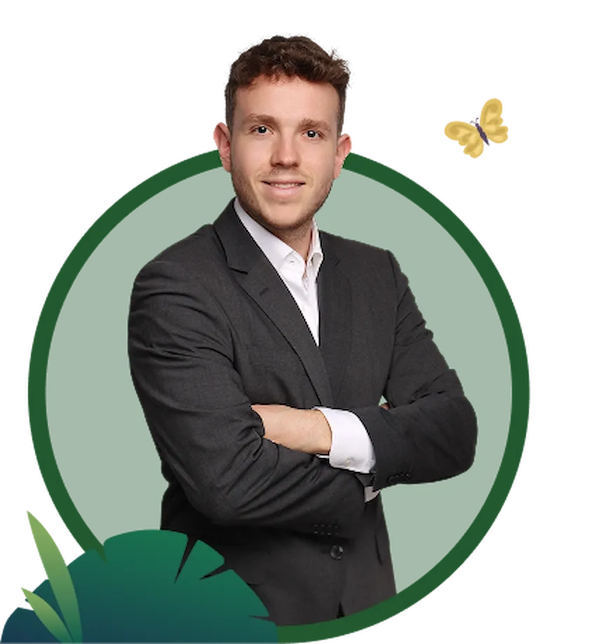 Beratung für die erfolgreiche Einführung von openDesk